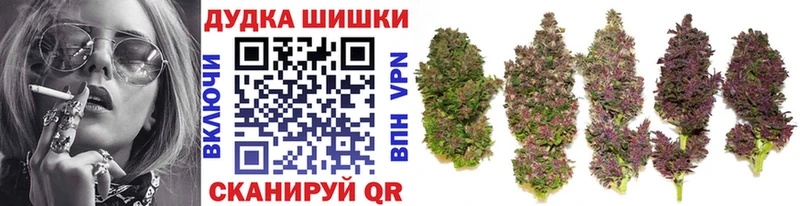 Канабис гибрид  купить наркотики сайты  Алзамай 